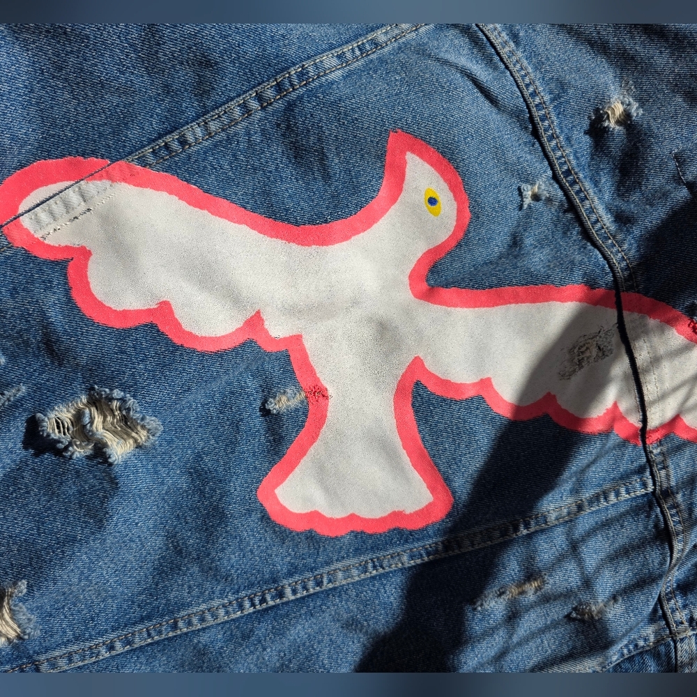 Zara - Trafaluc denimwear - Picture 5 of 10